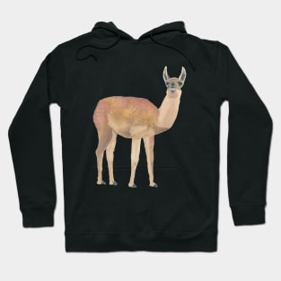 LLAMA - LLAMA FROM MACHU PICCHU, PERU, THE ANDES -  Watercolor Painting Hoodie